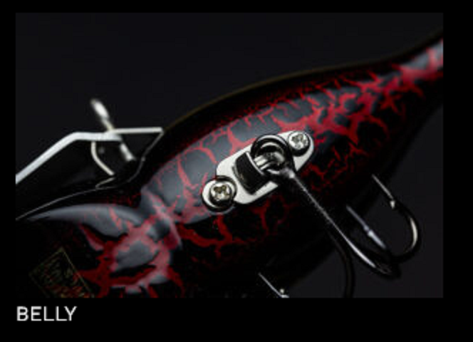 ルアーのアップ写真