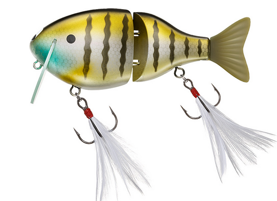 ルアーのアップ写真