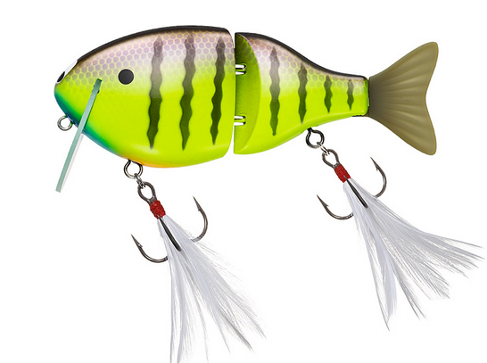 ルアーのアップ写真