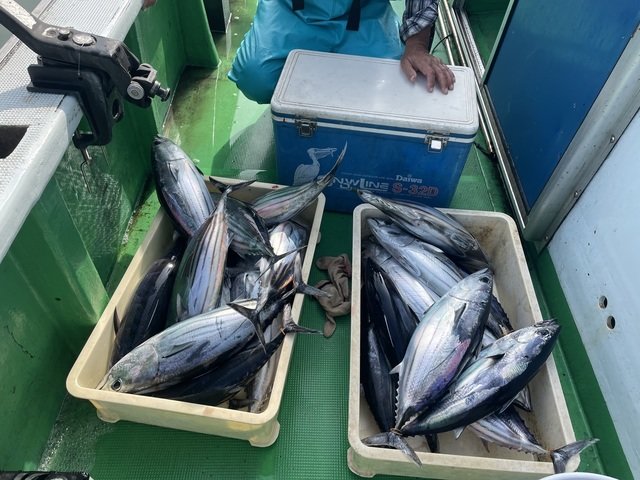 釣果