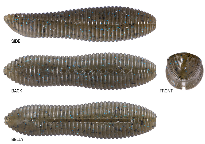 ワームのアップ写真