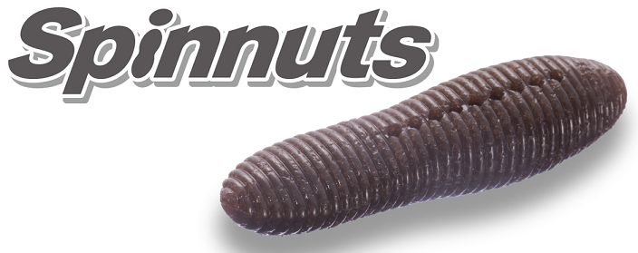 ワームのアップ写真