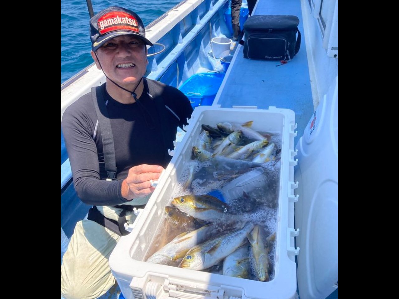 【釣果速報】千葉県早川丸がイサキ全員50匹オーバーのゲットで絶好調!釣れてる今、行くしかないっしょ!