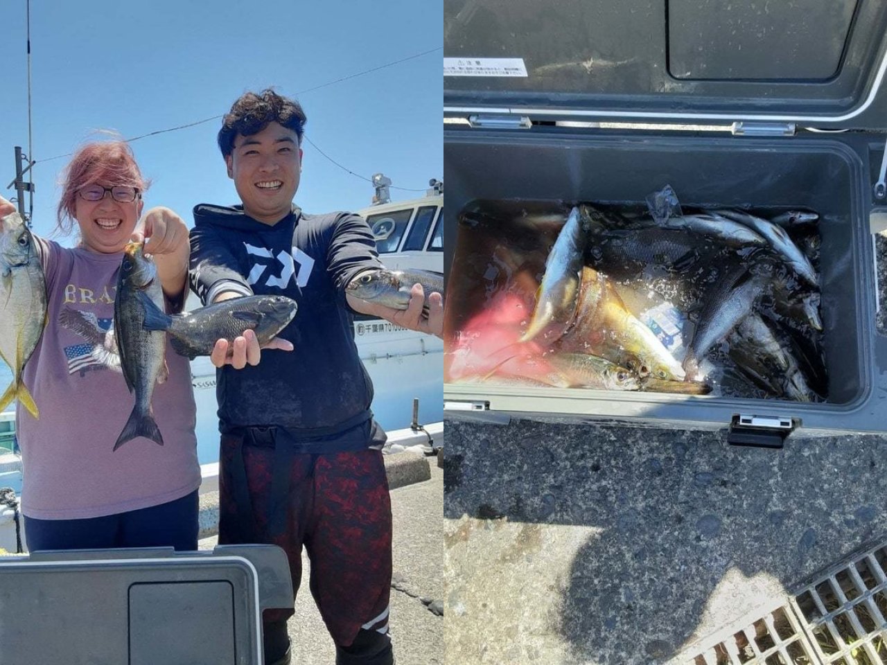 【釣果速報】千葉県勝晃丸がシマアジゲットで絶好調!イサキもトップ31匹でお土産ばっちり!釣れてる今、行くしかないっしょ!