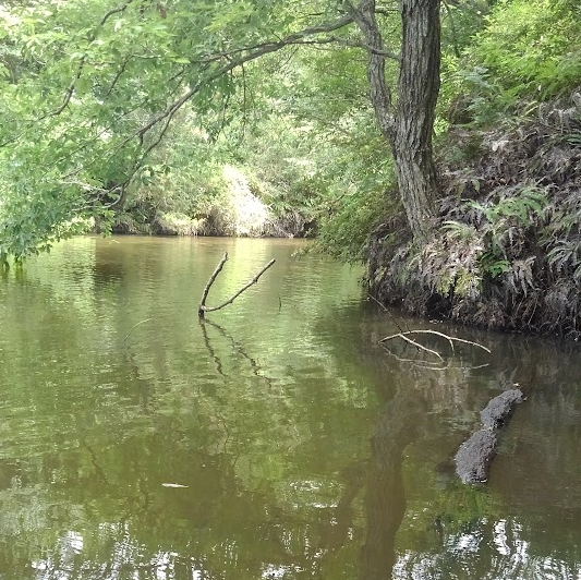 釣り場の遠景写真