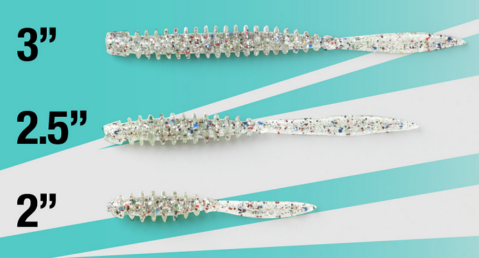 ワームのアップ写真