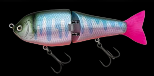 ルアーのアップ写真