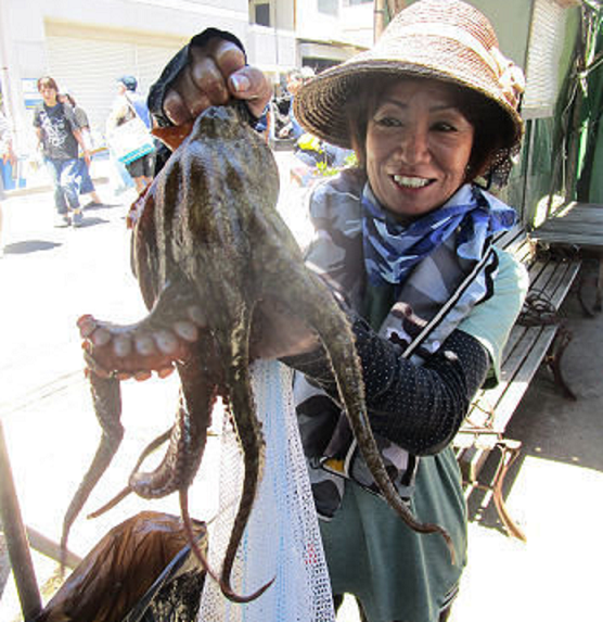 魚のアップ写真