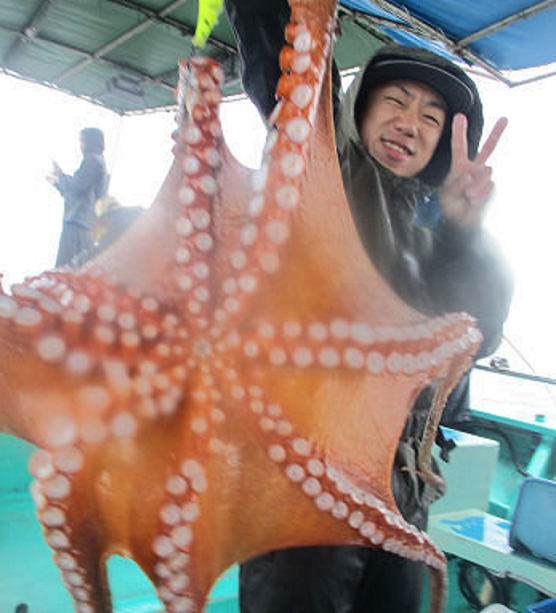 魚のアップ写真