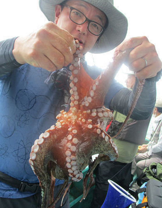 船上の風景写真