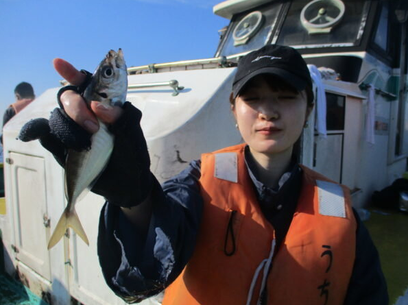 魚のアップ写真