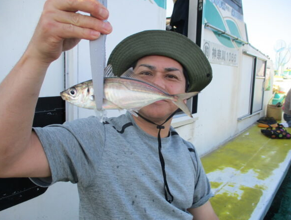 魚のアップ写真