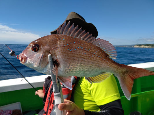 釣果