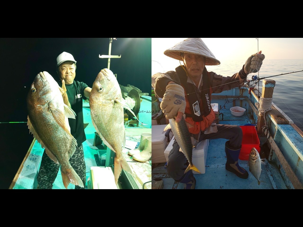 【釣果速報】福井県大福丸で85cmの大型マダイをGET！今こそ大鯛が釣れるチャンス！さあ、ビッグドリームを掴みに行こう！