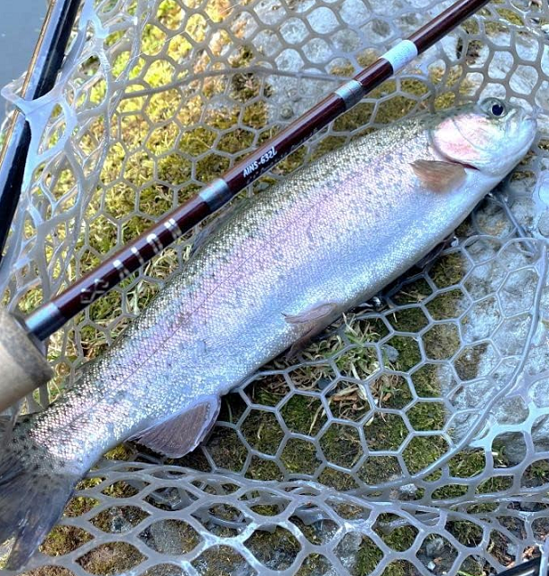 魚とロッドのアップ写真