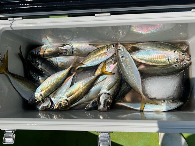釣果