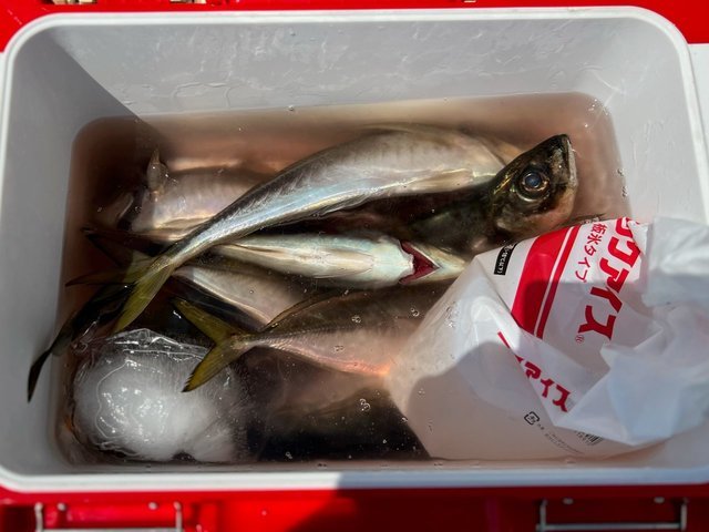 釣果