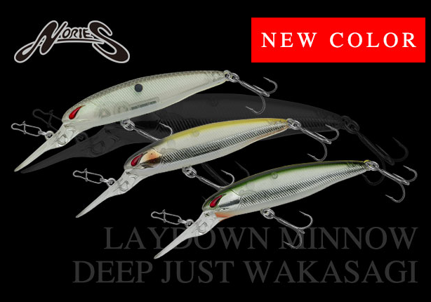 ルアーのアップ写真