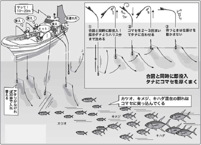 コマセ釣り解禁！相模湾のキハダ・カツオ入門