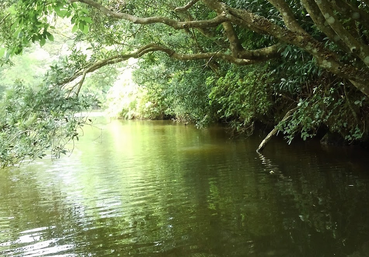 釣り場の遠景写真