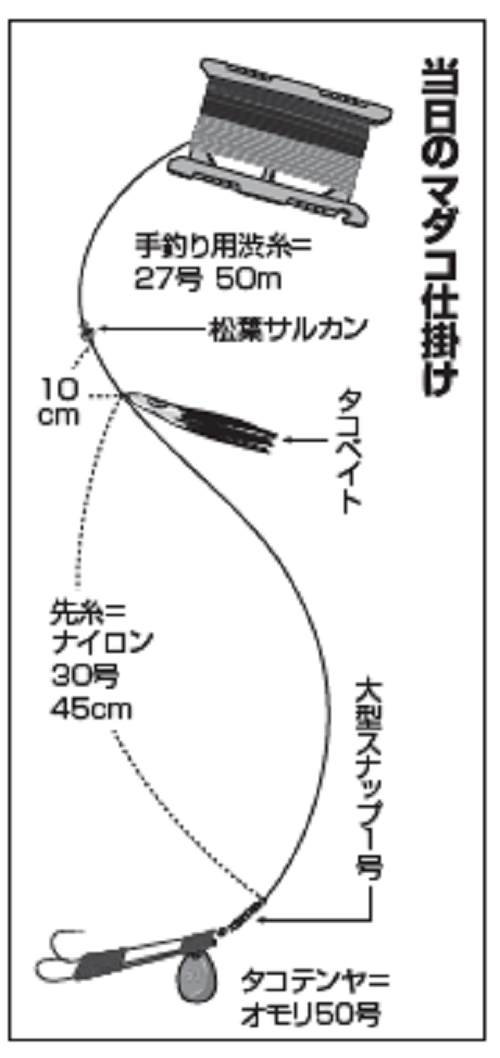数型ともに順調な東京湾！手刷りで楽しむマダコ（かみや／東京湾奥羽田）