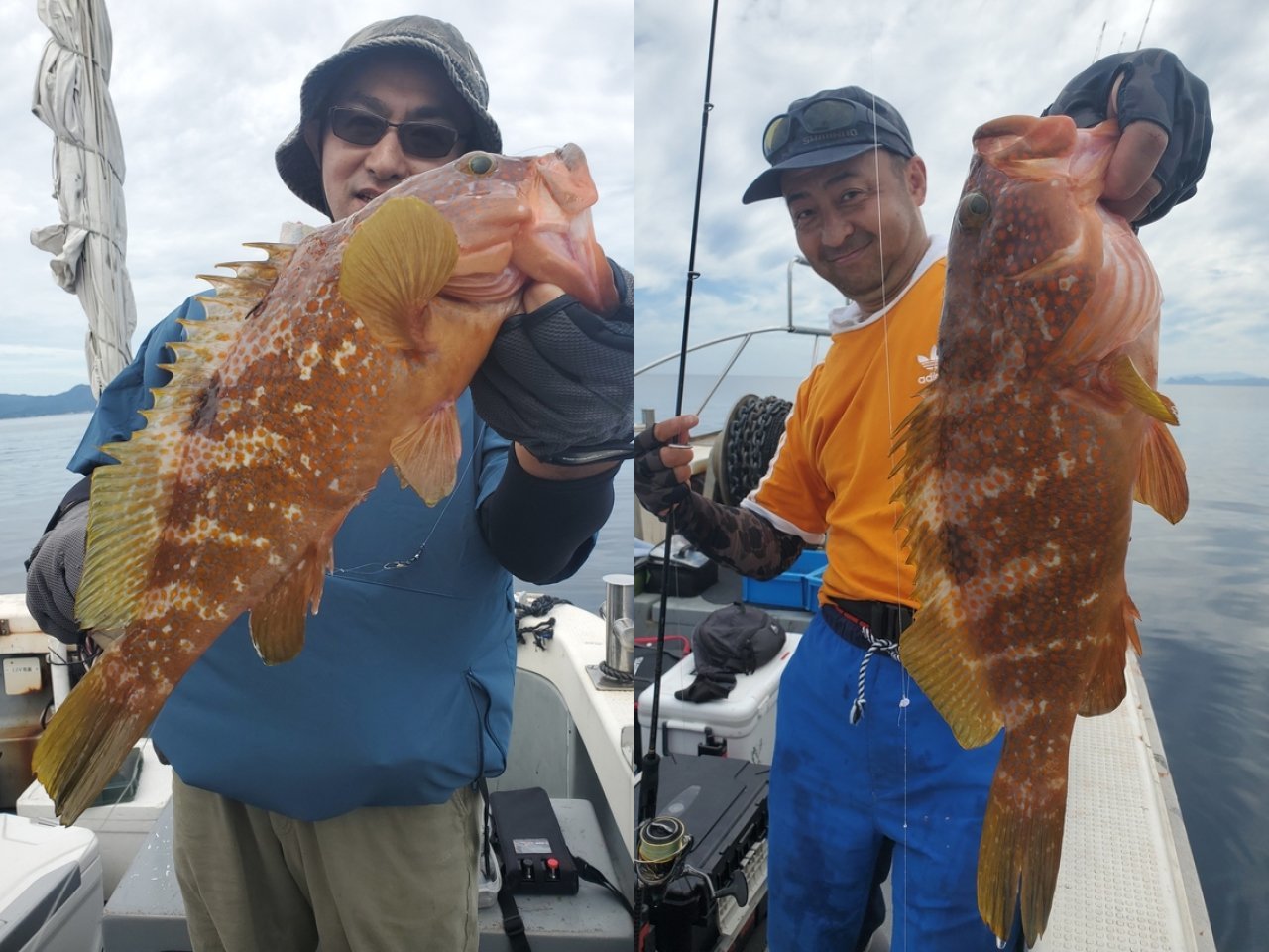 【釣果速報】福井県KEIFUKUでガシラとアコウ良型連発!今後の釣行にも期待大!