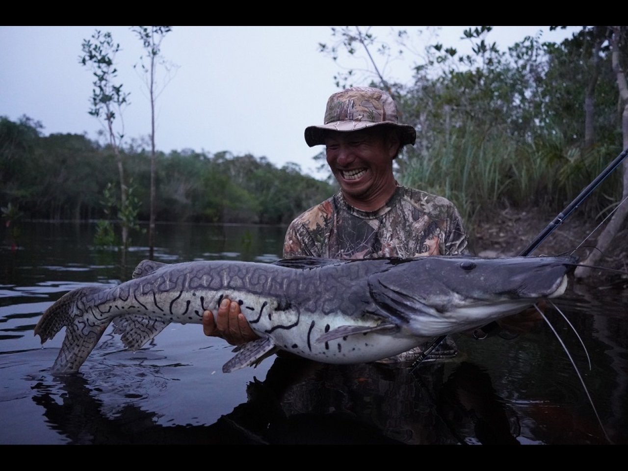 【新製品速報】ツララからMasso77XHが発売決定!