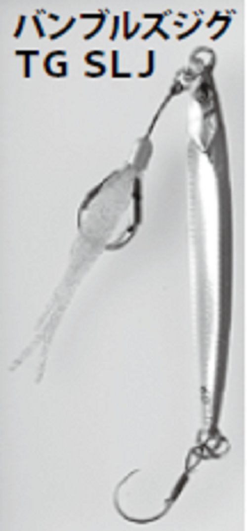 ジグの写真