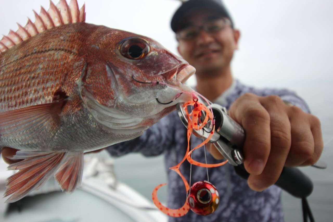１１釣行の写真