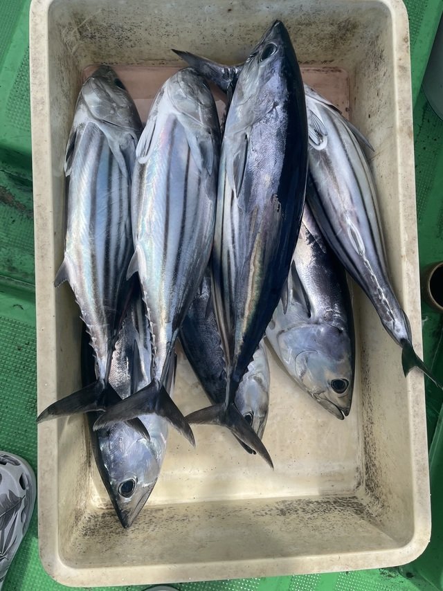 釣果