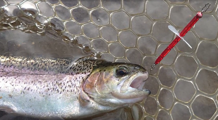 魚とルアーのアップ写真