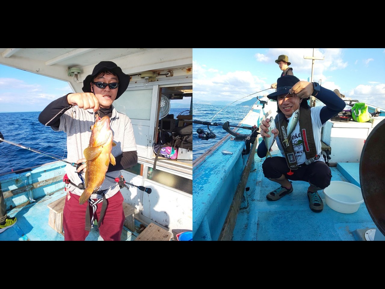 【釣果速報】アジにマイカにウマヅラと多彩な魚種で船内大賑わい！福井県大福丸の釣行はお土産確保間違いなし！