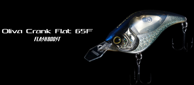 ルアーのアップ写真