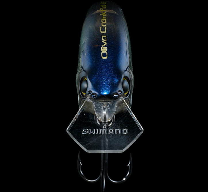 ルアーのアップ写真