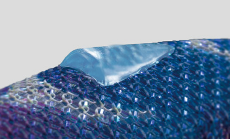 エギのアップ写真