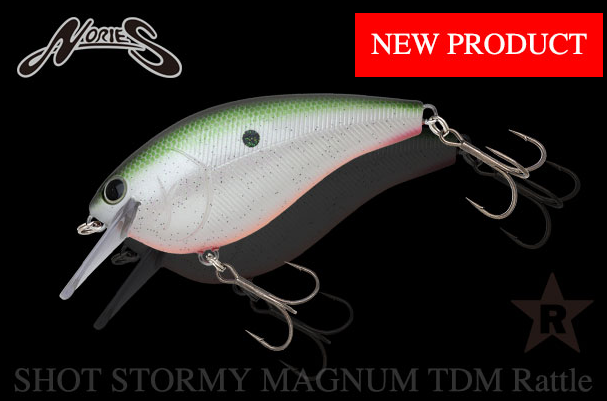 ルアーのアップ写真