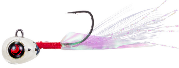 カブラのアップ写真