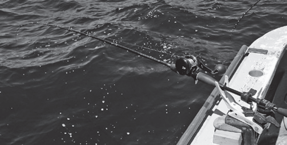 タックルの写真