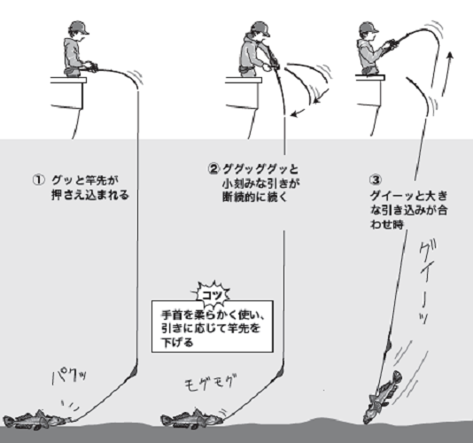 釣り方の図