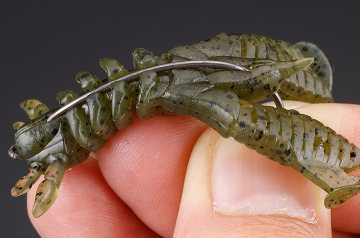 ワームのアップ写真