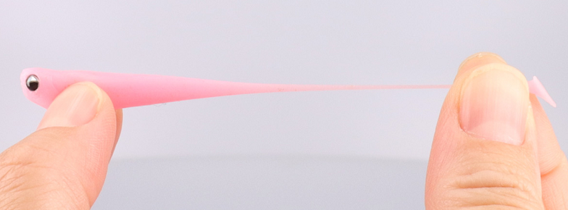 ワームのアップ写真