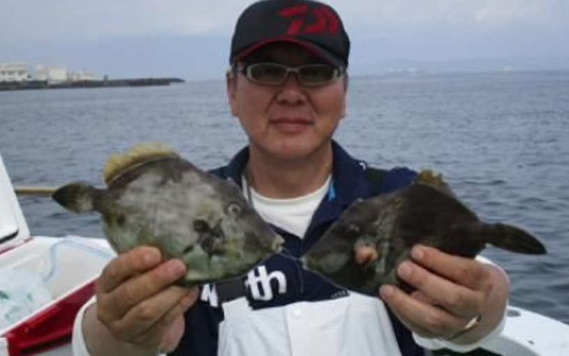 魚のアップ写真