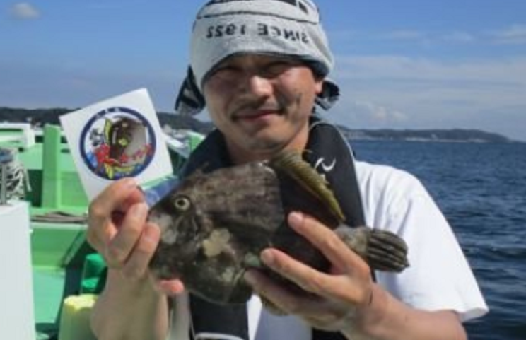 魚のアップ写真