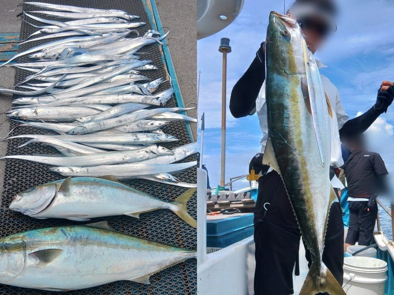 【釣果速報】和歌山県heyheyshipでブリ&タチウオ43本GET!人気魚種狙いのジギングをとことん楽しみたい方はぜひ乗船を!