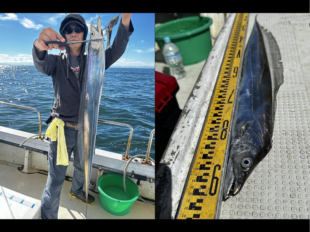 【釣果速報】船中183匹!!兵庫県釣り船角田でタチウオの釣果グングン伸びる!トップはなんと41匹!一番釣れた仕掛けは?