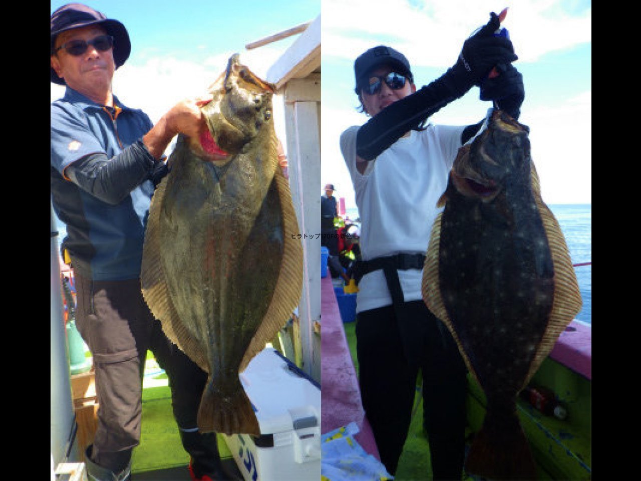 【釣果速報】新潟県光洋丸で最大10kgのジャンボサイズヒラメをキャッチ!多彩な魚種に出会いたいのなら今すぐGO!