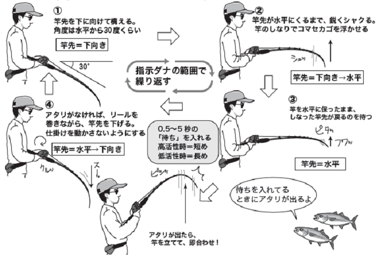 手軽にライトで楽しめる】イナダ