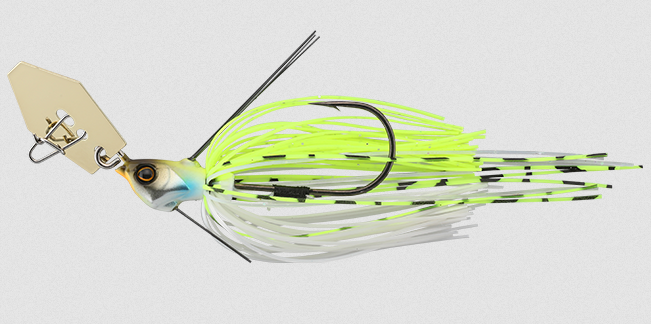 ルアーのアップ写真