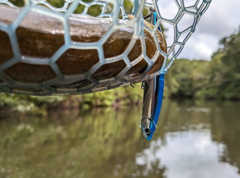 魚とルアーのアップ写真