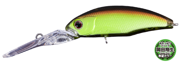 ルアーのアップ写真